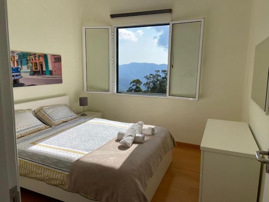 The Hideaway Retreat Villa Santo Antonio da Serra Exterior photo